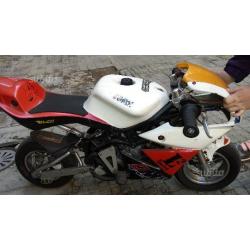 Minimoto dm liquido 14 cv