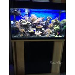 ACQUARIO VITREA80jw