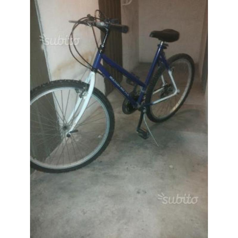 Bicicletta Mountain Bike 20"