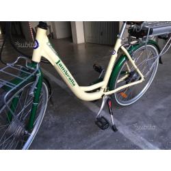 Bici elettrica