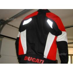 Ducati