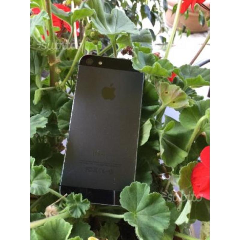 IPhone 5 black